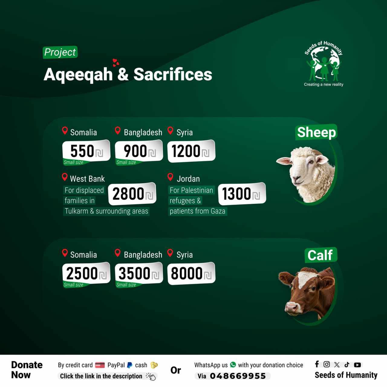 Seed Sacrifices Campaign